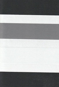 Рулонные шторы день-ночь для проема Салерно, серый 2002 купить в Павловском посаде с доставкой